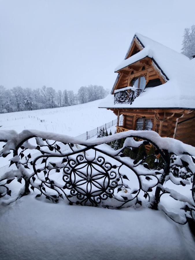 Goralska Chatka 2 Highland Cottage - Split Ac, Jacuzzi, Sauna, Private Parking, Mountains View, Garden, Zakopane Exterior photo