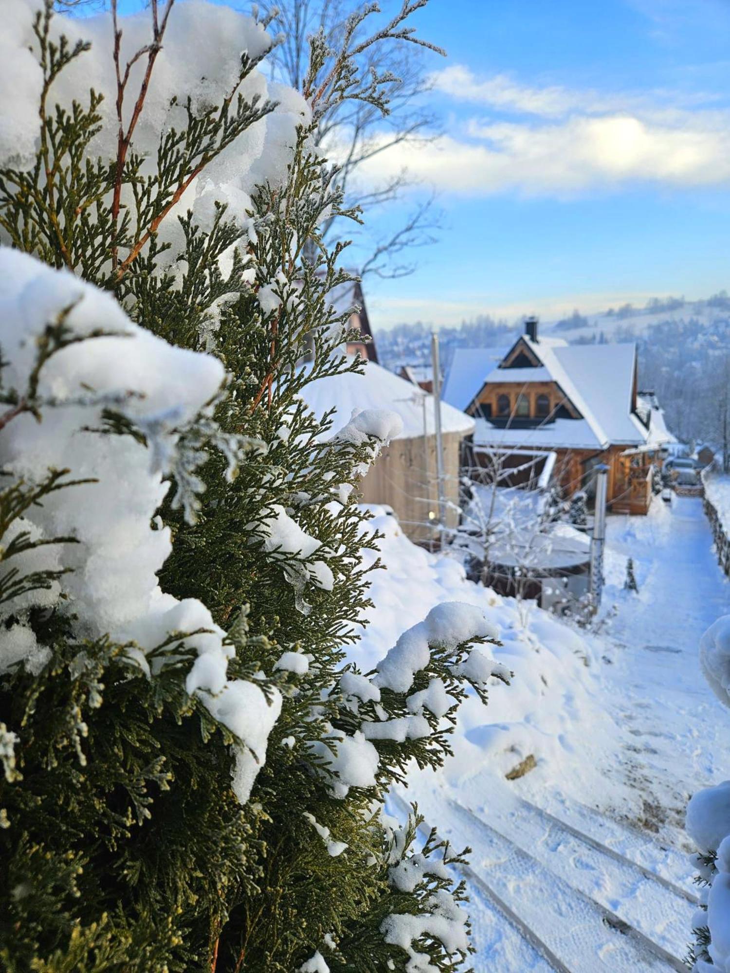 Goralska Chatka 2 Highland Cottage - Split Ac, Jacuzzi, Sauna, Private Parking, Mountains View, Garden, Zakopane Exterior photo